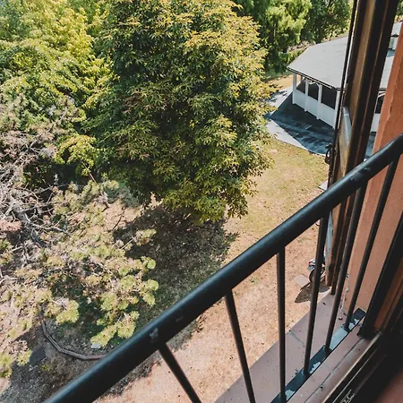 招待所 Black Paradise 3*